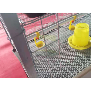 Cage à poulets de chair robuste GREAT FARM à 3 niveaux et 6 portes, galvanisée à froid, capacité 54-60 oiseaux, équipement commercial pour élevage avicole - Product Image 6