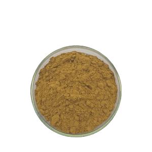 Astragalus Membranaceus根エキスCycloastragenol Astragaloside Iv 5%-<span class=keywords><strong>98</strong></span>% パウダー - Product Image 3