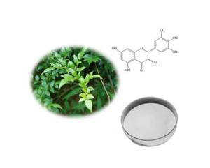 Extracto de Té de Vid de Alta Calidad 2024, Miricetina, Ampelopsina, Dihidromiricetina <span class=keywords><strong>DHM</strong></span> 98% en Polvo - Product Image 3