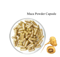 Comprimés énergétiques pour hommes OEM ODM sauvages pour capsule de racine de maca pilules d'extrait de plantes en poudre pour la fertilité emballées en bouteille