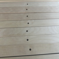 Lattes de soutien pour lit simple de haute qualité, marque Senbao, durables, écologiques, installation facile, vente en gros, bois de bouleau courbé pour lit