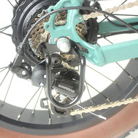 Longue portée 20 "x4.0 famille 48V 15Ah 500W e-bike vélo électrique hybride Cargo à deux roues