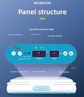 Incubateur électrique automatique à température constante marqué CE FDQ1 couveuse et éclosoir