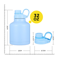 Bouteille d'eau en acier inoxydable de 32 oz avec revêtement en cuivre, contrôle de la température, anti-fuite, pour le sport et les activités de plein air, logo personnalisé