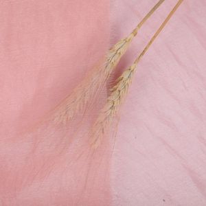 Mới Đến 150Cm 35gsm 30D 100% Polyester Đồng Bằng Nhuộm Mật Độ Cao Voan Vải Cho Trang Phục - Product Image 2