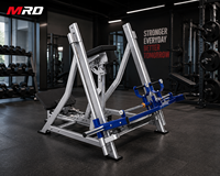 Máquina de remo de espalda con placas de acero para entrenamiento de fuerza y fitness de la parte superior del cuerpo