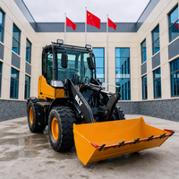 Mini-chargeuse BLT, chargeuse sur pneus de construction, chargeuse frontale, godet hydraulique, équipement diesel haute performance pour le transport en cour