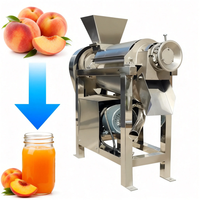 Hoge Efficiëntie Commerciële Gember Spiralenpers Professionele Appelsapmachine 500kg/u Sinaasappel Citroen Motor 220V