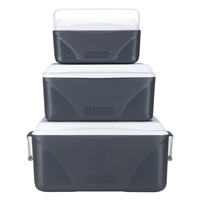 Ensemble Cadeau Glacière Promotionnelle 8L PE Rayée Couleur Personnalisée Durable Isolation Froide Créative Nouvelle Génération Rétenion de Glace 5 Jours