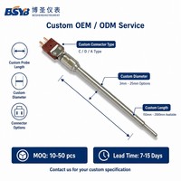 Ceramic Protection Tube C Type Thermocouple 0-1900°C