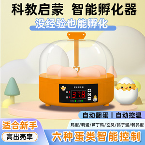 Incubateur d'œufs intelligent 6 œufs, retournement automatique, affichage numérique, pour l'éclosion des poussins, usage domestique, avec isolation, prêt pour l'hiver - Product Image 5