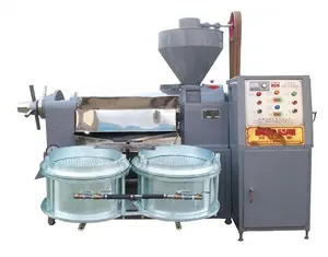 Minimáquina Industrial prensada en frío, prensadora automática de aceite de coco, aguacate virgen, sésamo, linaza, girasol, 6YL-100A