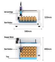 Impresora de inyección de tinta automática Willita E1 para bandejas de huevos, máquina de marcado de fecha de caducidad para huevos frescos