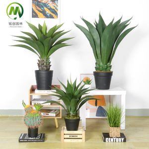 Venta caliente nuevo árbol de bonsái de <span class=keywords><strong>Agave</strong></span> Artificial árbol de <span class=keywords><strong>Agave</strong></span> <span class=keywords><strong>falso</strong></span> de plástico para decoración interior o exterior calidad Premium - Product Image 2