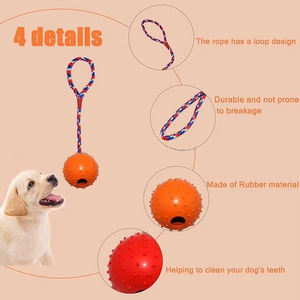 Gioco per Cani da Tiro alla Fune Resistente - Palla Interattiva in Gomma su Corda per Masticatori Aggressivi e Addestramento - Product Image 4