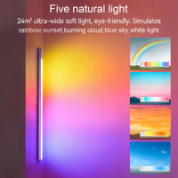 Lumière d'armoire LED RVB à intensité variable et multicolore Veilleuse d'ambiance pour jeux vidéo de bureau TV Home Entertainment Scene Decor Remote