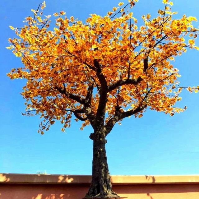 Outdoor Wedding Festival Party Christmas Decoration 12ft led maple tree light
