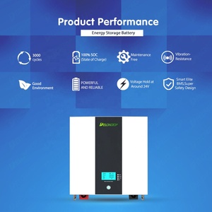Delongtop <b>Battery</b> Wall Mounted 2.5KW Storage Lithium Ion <b>Batteries</b> <b>24V</b> 100Ah <b>Battery</b> DL-24100 Batterier - Product Image 5