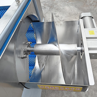 Borstelrol Schil- en Wasmachine voor Taro Cassave Zoete Aardappel Wortel Fruitverwerkingslijn
