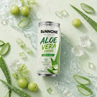 BENNONE Aloë Vera smaakloze magere vruchtensap 310ml blik gesteriliseerd gefilterd OEM dranken groothandel China drankenfabriek