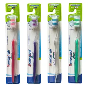 厂家直销晨鲜系列半透明纯色牙刷护牙清洁口腔塑料牙刷