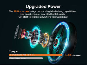 Vélo électrique ENGWE ENGINE PRO <span class=keywords><strong>2</strong></span>.0, entrepôt UE/US/UK, 52V16A, 250W, absorption complète des chocs, pneus larges, vélo de montagne électrique - Product Image 2