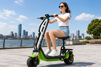 Trottinette électrique adulte de haute qualité, très vendue, véhicule tout-terrain pour trajets quotidiens, moteur sans balais 60V, autonomie de 40 km sur une seule charge