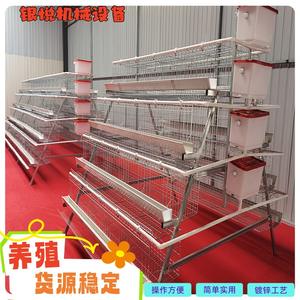 Jaula escalonada para <span class=keywords><strong>gallinas</strong></span> de tres o cuatro niveles con múltiples puertas, jaula para <span class=keywords><strong>gallinas</strong></span> ponedoras, se puede equipar con comederos verdes y blancos, fabricantes. - Product Image 2