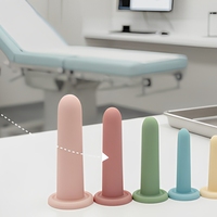 FST 6-teiliges Körpersicheres Silikon Wasserdichtes Anal-Trainingsset Beckenbodentrainer Butt Plugs mit Kraftvoller Saugkraft Ergonomisch Konisch