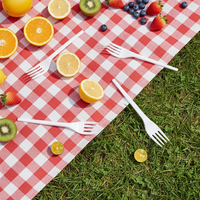 Fourchette et cuillère jetables biodégradables Greenday en CPLA de qualité alimentaire, couverts en PLA de 6 pouces/6,5 pouces, couleur personnalisée pour pique-nique