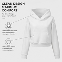 Sweat-shirt court à capuche sans cordon de serrage, en coton composite épais 440 GSM, doublé polaire, couleur argent, modèle ODM, en stock pour l'hiver