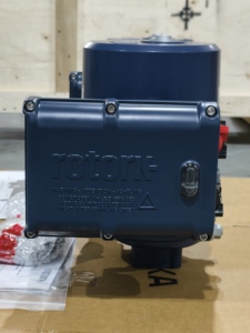 ตัวกระตุ้น ROMpak พร้อมวาล์วควบคุมขนาดเล็กและวาล์วยี่ห้อจีน - Product Image 2