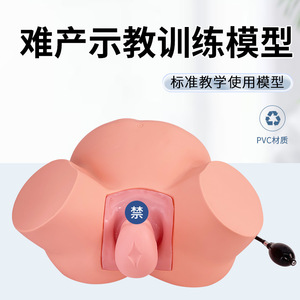 Modèle d'enseignement avancé en sage-femme, modèle de démonstration de naissance, modèle d'examen gynécologique, modèle de démonstration du travail et de l'accouchement - Product Image 2