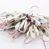 Module LED 12V DC, 2 LED, 1W, haute luminosité, 2835, extérieur, PVC, SMD simple, 2 LEDS 2835, modules LED injectés pour enseignes
