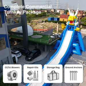 Ceyu Parque Acuático Inflable Comercial de PVC Resistente, Parque de Diversiones Móvil con Piscina con Marco para Todas las Edades - Product Image 4