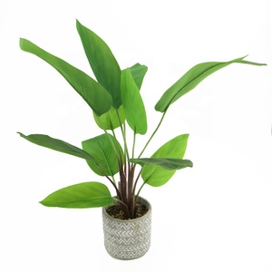 <span class=keywords><strong>Planta</strong></span> Artificial en Maceta de 71 cm de Altura, <span class=keywords><strong>Planta</strong></span> de <span class=keywords><strong>Canna</strong></span> para Decoración de Interiores, Hogar y Cafetería - Product Image 6