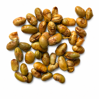Edamame grillé sec en vrac, collation croustillante à base de plantes, riche en protéines, faible en glucides, saine, croustillante, en grains de soja verts, OEM, marque privée, alimentaire