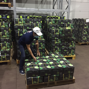 Citron vert frais Agrumes-Citron frais/LIME sans pépins du Vietnam pour l'Asie, le Moyen-Orient-LINDA WS 0084 989 322 607 - Product Image 1