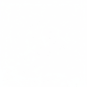 Juego de 2 Rodamientos Automotrices con Arandelas de Empuje 21030-25000 TW1050AM TW-3889A STD - Product Image 1