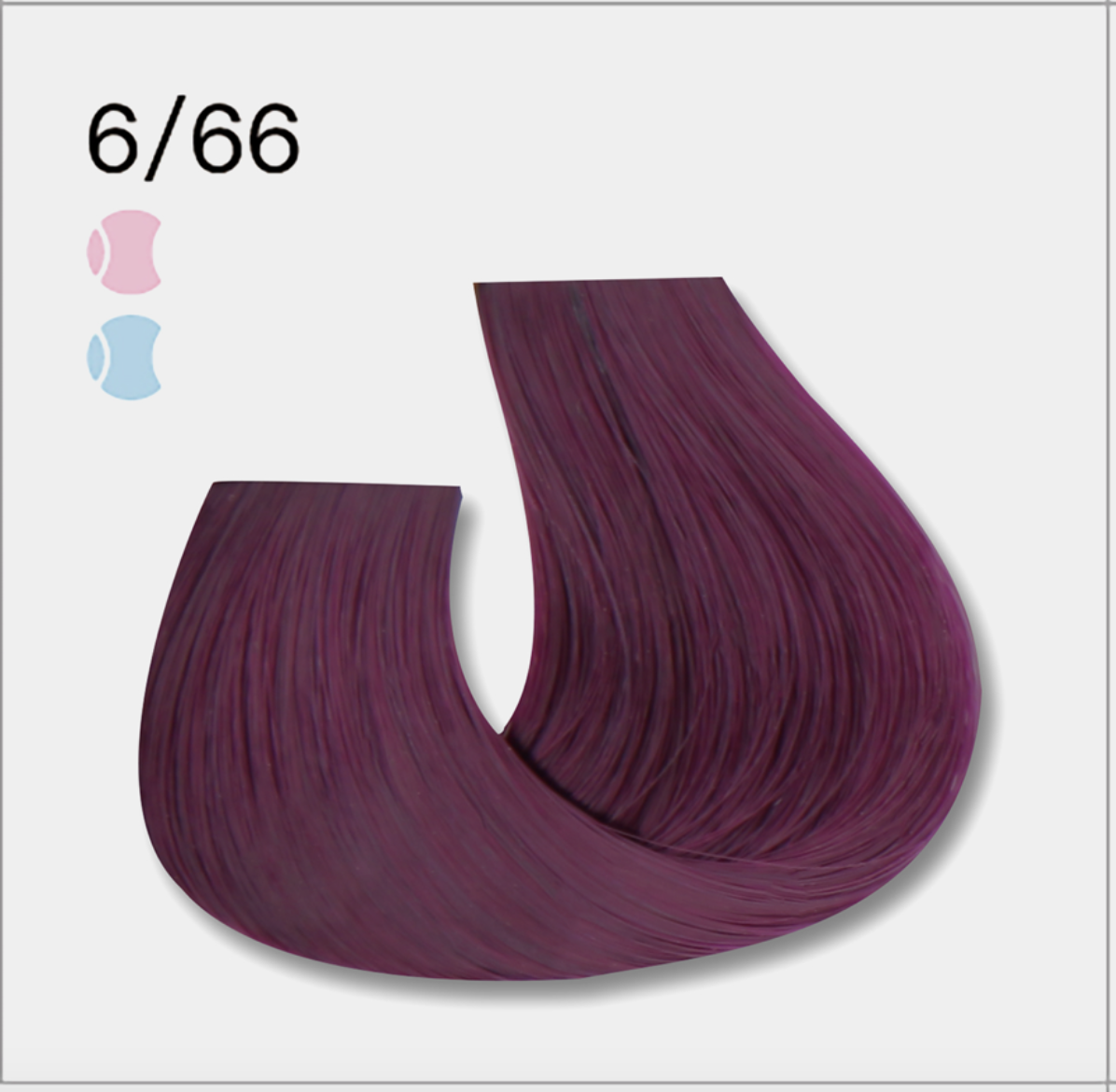 6/66 violet moyen