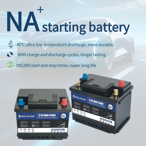 แบตเตอรี่โซเดียมไอออนจากโรงงานโดยตรง 12V/24V 60Ah 70AH 100Ah 200Ah ผู้ผลิตแบตเตอรี่ทรงปริซึม Na Ion แบบชาร์จได้ - Product Image 2