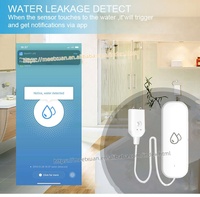 Alarme de fuite d'eau Tuya, détecteur de fuite d'eau, alerte d'inondation, système d'alarme de sécurité contre les débordements, alimenté par batterie, faible consommation
