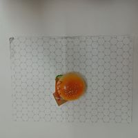 SP2081 usine en gros jetable de qualité alimentaire hamburger frites papier d'emballage en aluminium résistant à l'huile