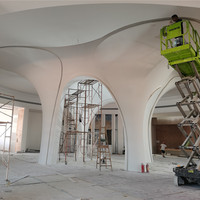 Fournisseur de colonnes en FRP de forme spéciale pour la décoration artistique dans les bureaux
