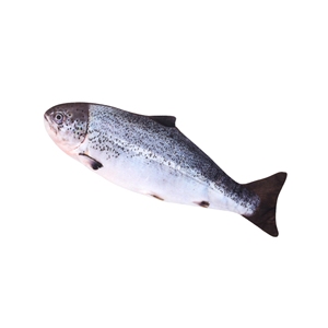 Interactive Electric Floppy Fish <b>Cat</b> Toy Moving Kitten Kicker Toy <b>Plush</b> Wiggle Catnip Fish Pet Chew Toy - Product Image 3