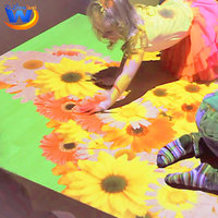 Sistema de Juego de Proyección Interactiva en el Suelo, Proyector de Piso Interactivo para Interiores, para Parques de Atracciones y Salas de Exposiciones