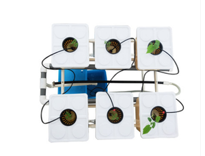 Sistema de cultivo hidropónico de jardín, cubo holandés de Bato de plástico, cubos de plástico a la venta para verduras de raíces grandes - Product Image 2