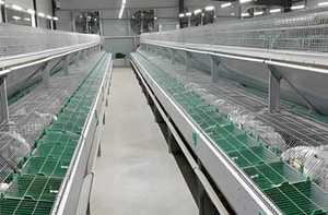 กรงเลี้ยงกระต่ายราคาถูกจากยุโรป โรงงานจีนขายตรง กรงอุตสาหกรรมสำหรับอุปกรณ์เพาะพันธุ์<span class=keywords><strong>กระต่าย</strong></span>ในฟาร์ม - Product Image 6