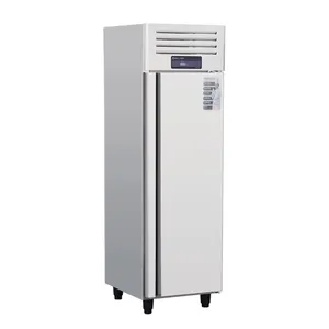 Enfriador vertical de puerta grande, refrigerador de cerveza de estilo europeo, refrigeración directa, refrigerador vertical de puerta grande