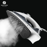 Offre Spéciale Fers à Repasser Vapeur Électriques Hôteliers Personnalisés 1000W 2000W pour l'Hôtellerie, Anti-Goutte, Antiadhésifs, Arrêt Automatique, pour Usage Domestique et Hôtelier